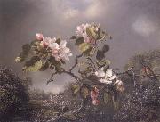 Martin Johnson Heade Apple Blosoms and Hummingbird Norge oil painting reproduction